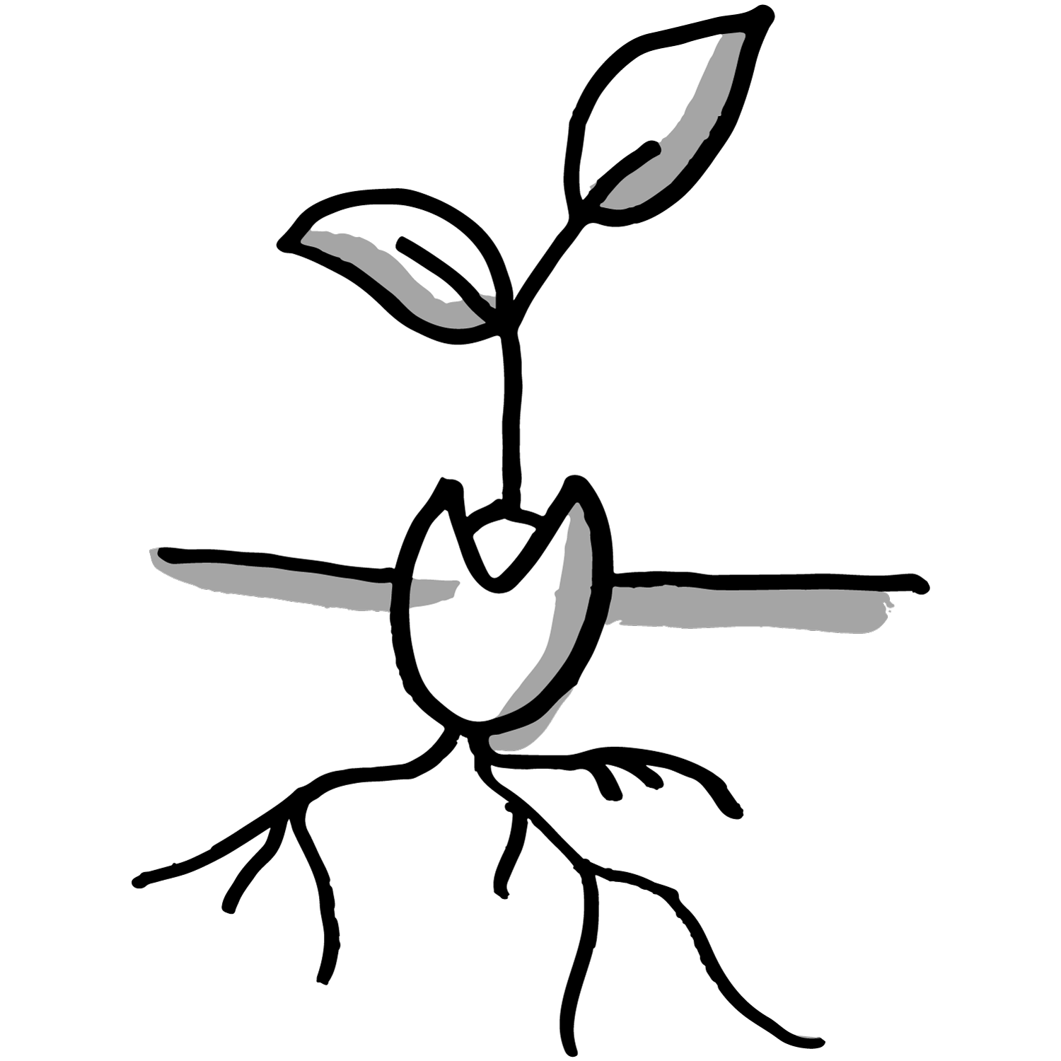 Leve de seizoenen – beginnende lente